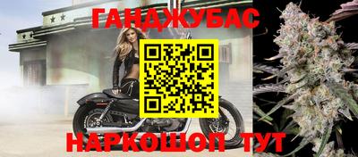 стафф Будённовск