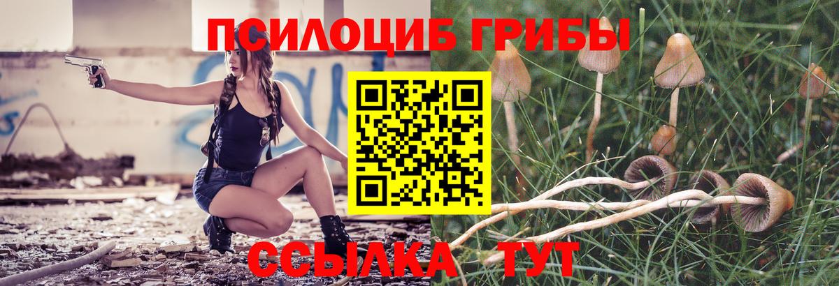 Псилоцибиновые грибы прущие грибы  сколько стоит  Слободской  Вход с VPN 